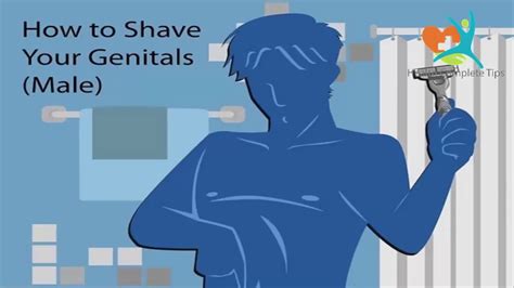 pubic hair wikipedia|How to Shave Your Genitals (Male): 14 Steps (with Pictures).